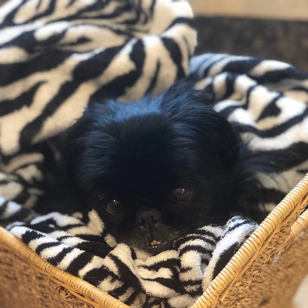 Hello there! - Picture 2 of 6